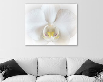 Home Decor with Surreal Still Life Picture of Orchid Flower