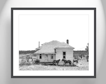 Fine Art Photography in Black and White with Surreal Scene of Horses and Abandoned Farmhouse