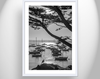 Black and White Ocean Photography with Monterey Bay California Yacht Harbor Sailboats as Wall Decor Gift