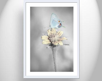 Butterfly Art Photograph as Painterly Wall Decor on Vertical Print