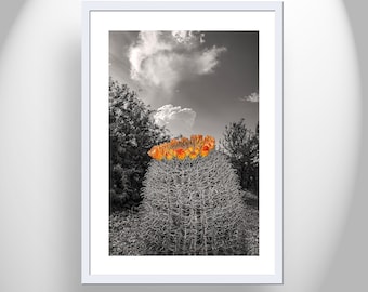 Unique Southwestern Wall Decor with Art Print of Desert Barrel Cactus and Arizona Monsoon Sky