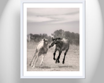 Canvas Art Print of Frisky Horses by Murray Bolesta