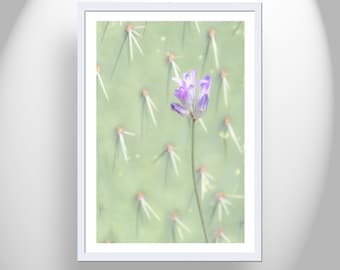 Modern Southwestern Wall Art with Beautiful Green Cactus with Purple and Pink Desert Flower