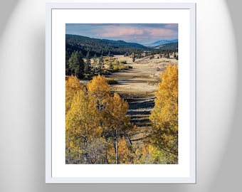 Autumn Aspen Tree Photography as Wall Decor for Livingroom with Ranch Landscape