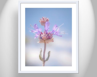 Minimalist Flower Art with Desert Sage as Botanical Nature Decor for Home