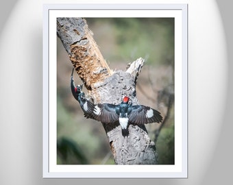 Forest Nature Decor with Woodpecker Birds