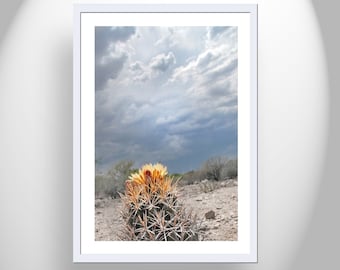 Desert Storm Landscape Art with Cactus Flower and Stormy Sky