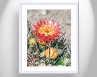 Art for Home with Desert Cactus Flowers