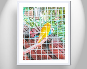 Bright Vibrant Home Decor with Abstract Bird Art and Colorful Parakeets