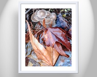 Restful Wall Decor with Nature Art Print of Autumn Leaf and Wild Mushrooms