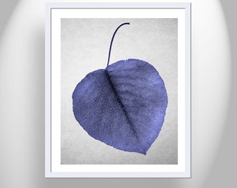 Minimalist Botanical Art with Blue Leaf