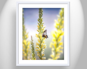 Bright Vibrant Nature Wall Print with Elegant Butterfly and Spring Desert Wildflowers