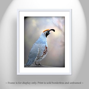 Fine Art Photography Prints by Murray Bolesta on Etsy