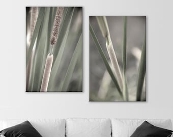 Restful Nature Art with Wetlands Reeds and Cattails Set of 2 Prints