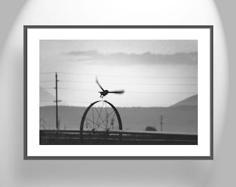 Farm Landscape Owl Decor with Great Horned Owl Bird in Flight in Black and White