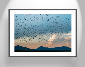 Bird Lover Home Decor Gift with Flock of Birds in Western Landscape