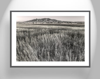 High Quality Art Print with Huachuca Mountains Arizona Grasslands Landscape