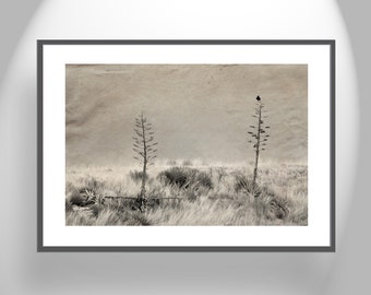 Fine Art Photography with Surreal Prairie Landscape