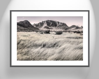 Southern Arizona High Desert Grasslands Landscape Photography