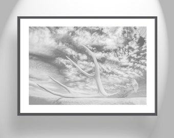 Black and White Fine Art Photography with Surreal Deer Antler and Sky
