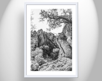 Fine Art Print in Black and White of Arizona Wilderness Canyon