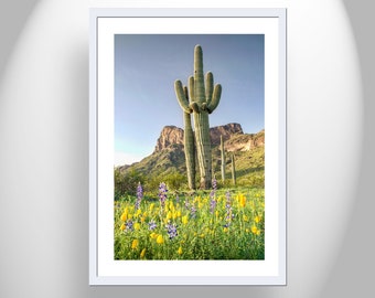 Southwestern USA Desert Decor with Picacho Peak Arizona Spring Cactus and Wildflowers