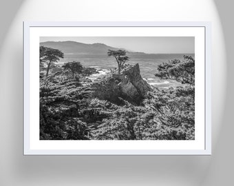 Lone Cypress Carmel by the Sea Art Print in Black and White at Pebble Beach California