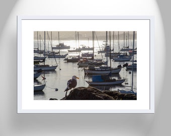 Monterey Harbor Fine Art Print with Monterey Bay California Sailboats as Nautical Decor Gift