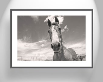 Fine Art Print for Homem with Horse and Prairie Ranch Landscape by Murray Bolesta