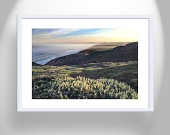 Marin County Art with Point Reyes Wildflowers and Ocean Sunrise