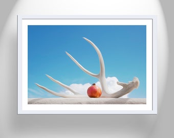Fine Art Photograph with Deer Antler and Clouds