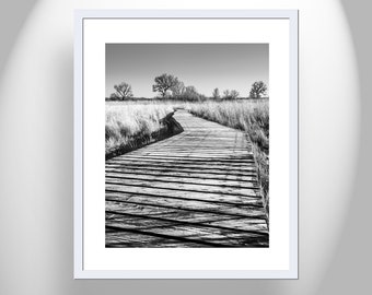 Surreal Black and White Boardwalk Photograph with Cottonwood Tree and Nature Trail