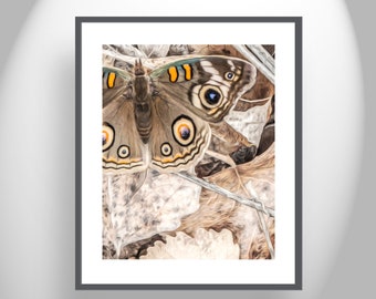 Butterfly Art Print with Autumn Colors and Earth Tones as Nature Decor for Home or Office