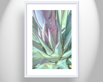 Pastel Nature Decor in Southwestern Style with Blue Agave by Murray Bolesta