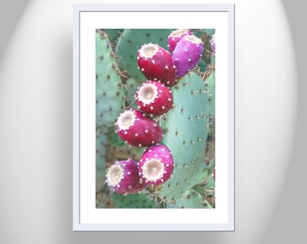 Southwestern Style Wall Art with Prickly Pear Cactus Fruit