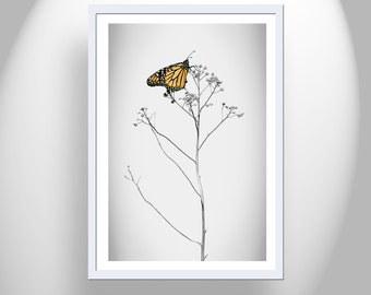 Monarch Butterfly Minimalist Art Print by Murray Bolesta