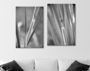 Wetlands Nature Wall Art with Reeds and Cattails Set of 2 Prints