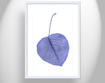 Minimalist Botanical Blue Leaf Art as Fine Art Home Decor