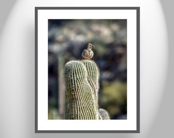 Southwestern Style Wall Art with Thrasher Bird on Desert Cactus