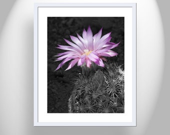 Wall Art for Home with Tiny Cactus Flower