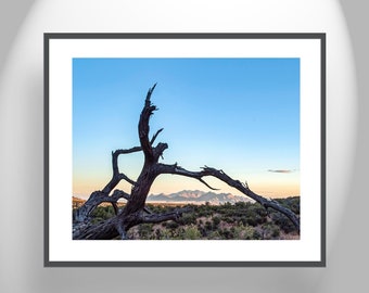 Western Wall Decor with Fine Art Landscape and Deadwood Silhouette Photo Print