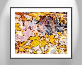 Nature Art Print with Autumn Sycamore Leaves in Water