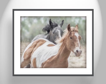 Horse Photograph Art Print with Frisky Horses as Equestrian Decor for Home
