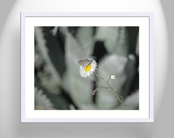 Botanical Home Decor in Southwestern Style with Desert Agave and Wildflower