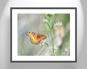 Butterfly Insect Art Photography with Tarantula Hawk Wasp as Elegant Nature Decor