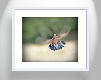 Home Decor Print with Bird in Flight Wall Art