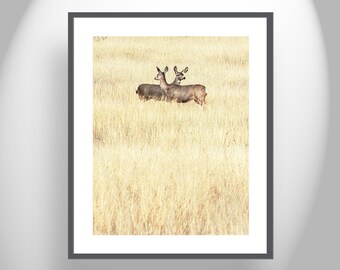 Wildlife Landscape Art in Minimalist Style with a Pair of Deer