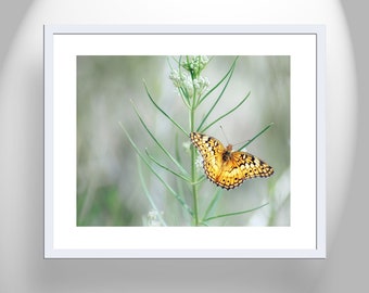 Golden Butterfly Wall Art on Photo Print or Mounted Canvas