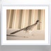 see more listings in the Wildlife Art Prints section