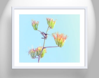 Bright Spring Desert Botanical Art Print with Hummingbird and Century Plant Agave